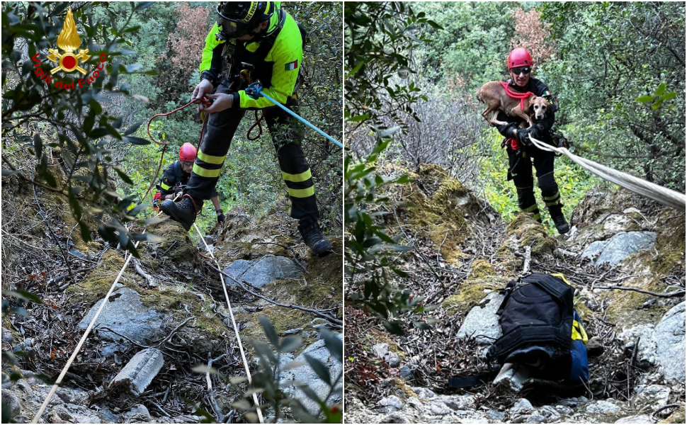 Cane da caccia intrappolato in un dirupo lungo oltre 100 metri, recuperato dai Vigili del fuoco 53 Cane intrappolato Cirò 04
