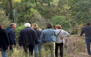 Castrolibero: riqualificata l’area di Motta-Fontanesi: un’oasi naturale unica e un percorso ecologico a due passi dalla città 52 Castrolibero 02