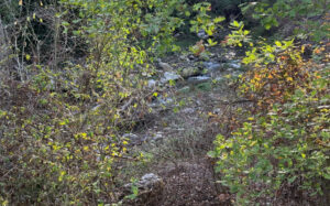 Castrolibero: riqualificata l’area di Motta-Fontanesi: un’oasi naturale unica e un percorso ecologico a due passi dalla città 53 Castrolibero 03