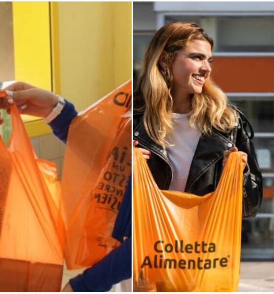 Colletta Alimentare, la Calabria si prepara alla 30ª edizione: nel 2025 donate 178 tonnellate di cibo 56 Colletta Alimentare_Calabria