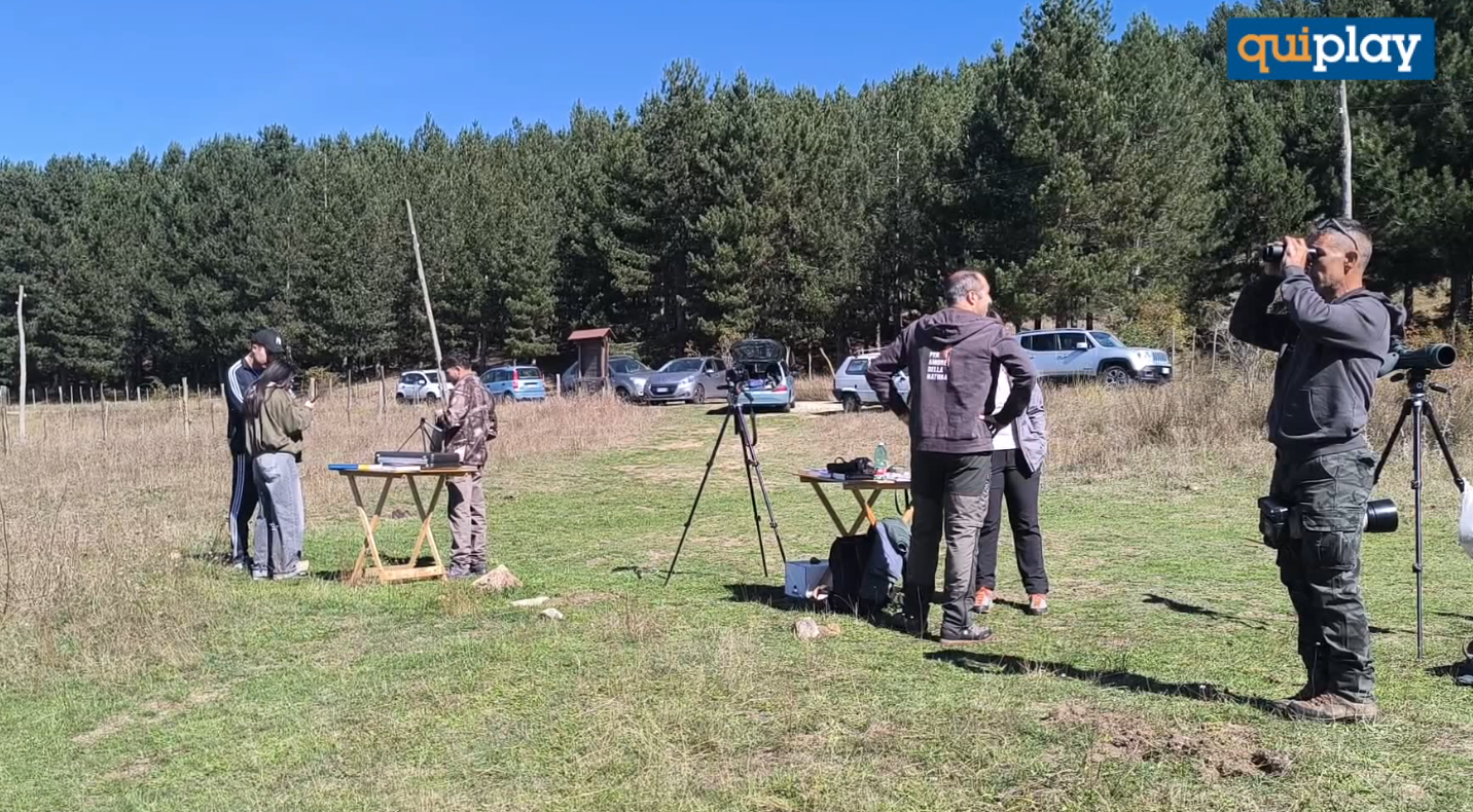 Eurobirdwatch 2026 in Sila: 2.655 uccelli di 58 specie avvistati al Lago Ariamacina