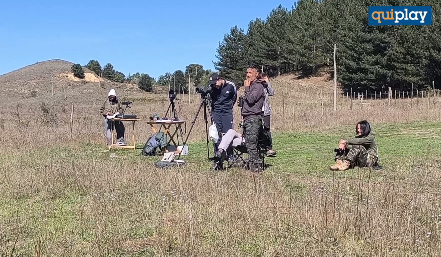 Eurobirdwatch 2026 in Sila: 2.655 uccelli di 58 specie avvistati al Lago Ariamacina