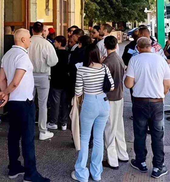 Grimaldi cosenza impiego 01