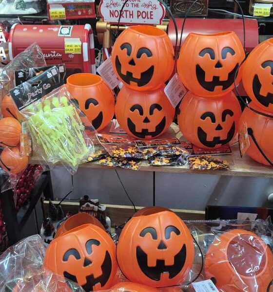 Halloween Guardia di finanza 02