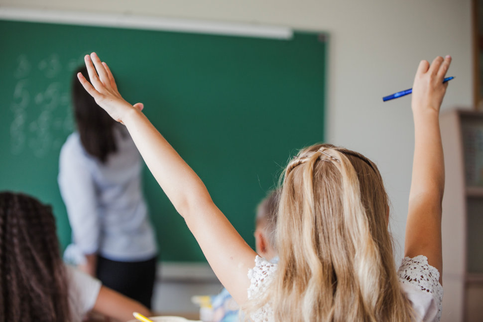 Calabria, approvata la legge sull’inclusione scolastica: cosa cambia per BES e la somministrazione di farmaci 53 Inclusione Scolastica2