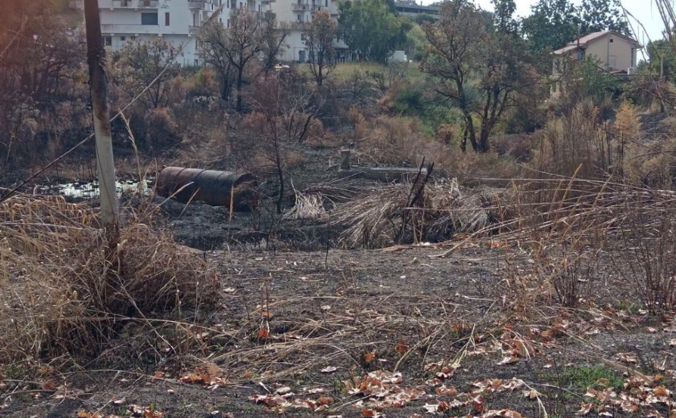 Scalea, quel liquido verde in un’area recintata: Italia Nostra chiede chiarezza 55 Italia Nostra Scalea 04