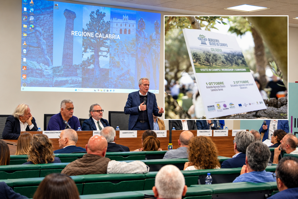 Academy Olivo in Campo 2026: Xylella, mercati e clima: la Calabria risponde alle sfide dell'olivicoltura 86 Academy olivo in Campo