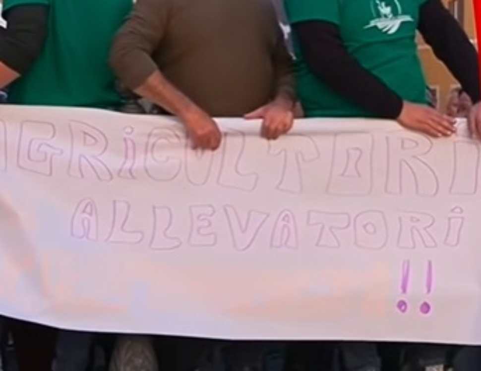 Manifestazione Roma