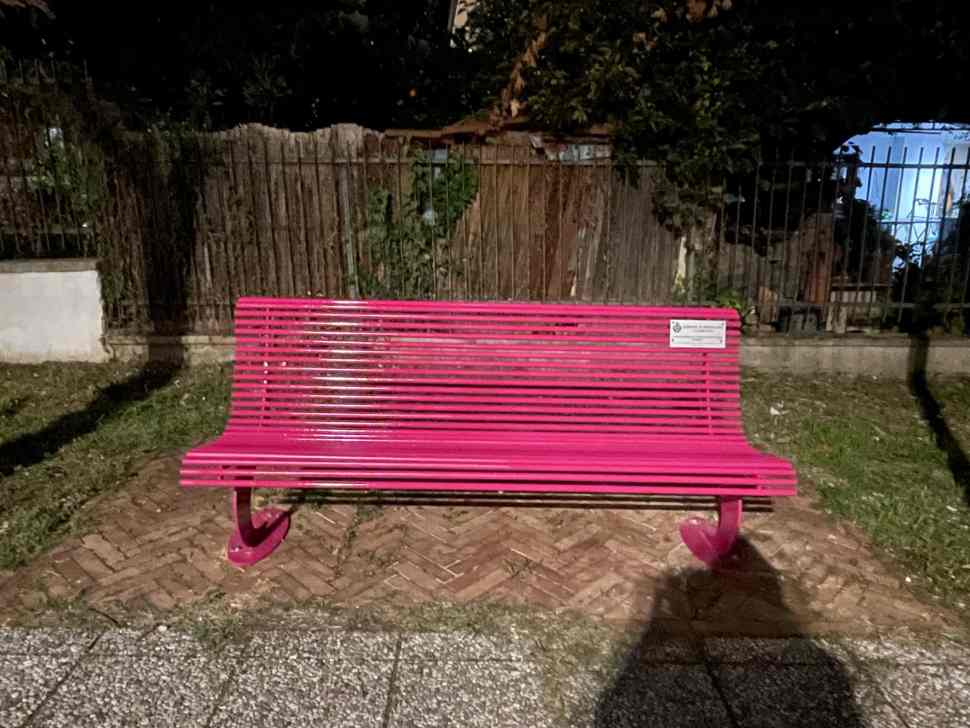 Mendicino, inaugurata la panchina rosa simbolo della prevenzione. Bucarelli: «Ci ricorda di fare rete per la vita» 52 Mendicino panchina rosa 2