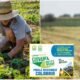 Oscar Green 2026: a Corigliano-Rossano il premio ai giovani che innovano l'agricoltura in Calabria 64 Oscar Green