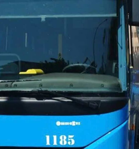 Rogliano - Rende - Collegamenti richiesta consulta giovanile roglianese 01
