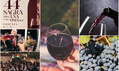 Sagra del Vino Donnici - viabilità (2)