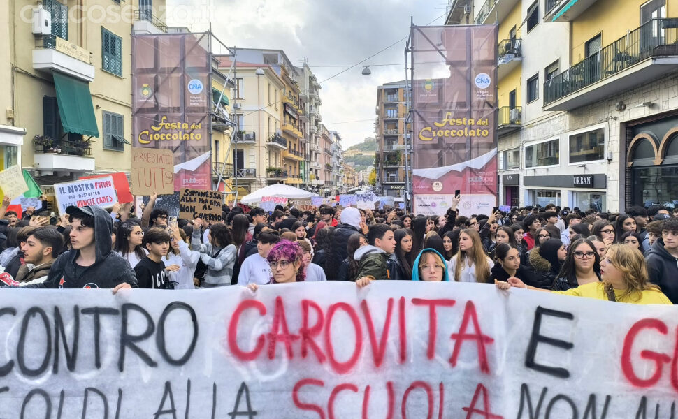 Scuola cosenza studenti corteo protesta