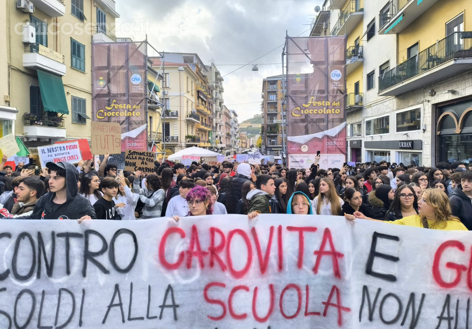Scuola cosenza studenti corteo protesta
