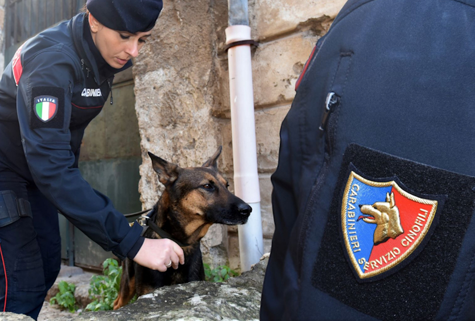Unità cinofile deoga