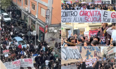 Studenti Cosenza corteo scuola protesta