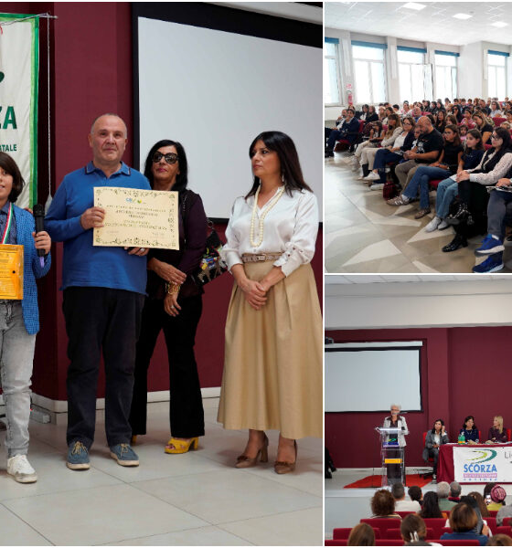 Volontariato - Premio CSV cosenza 01