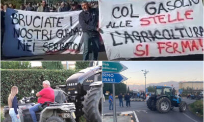 agricoltori gallo spezzano albanese 01