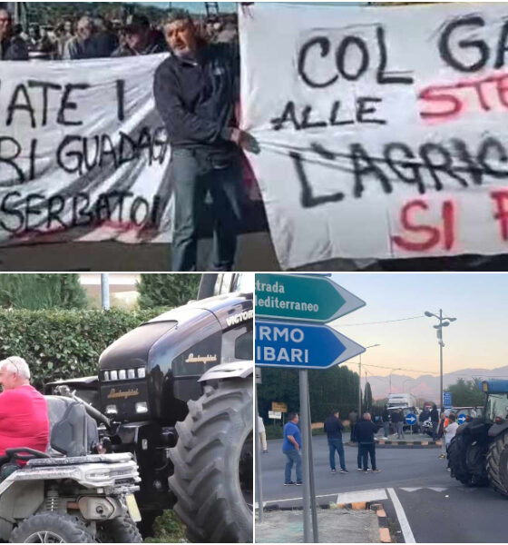Agricoltura, Gallo al presidio di Spezzano Albanese: «cercheremo di dare risposte concrete» 56 agricoltori gallo spezzano albanese 01