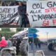 agricoltori gallo spezzano albanese 01
