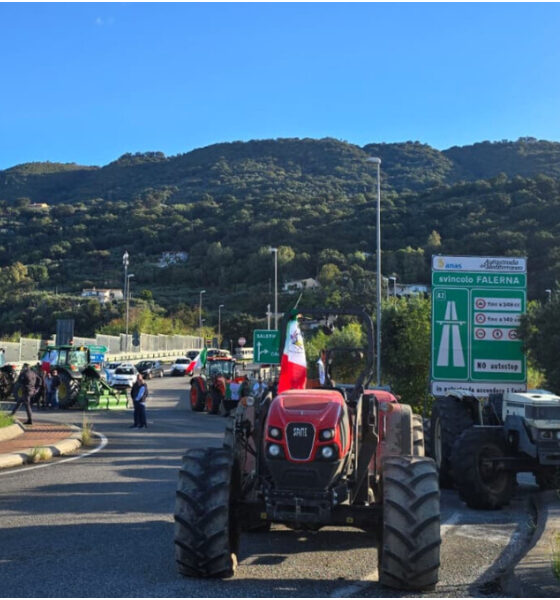 Agricoltori, prosegue la protesta allo svincolo dell'A2: «Non ci muoviamo, non si molla» 56 agricoltori-protesta-A2-Falerna