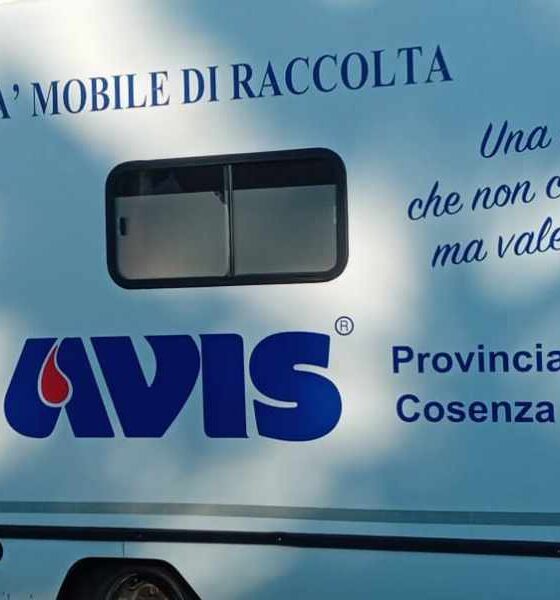 avis provinciale cosenza autoemoteca