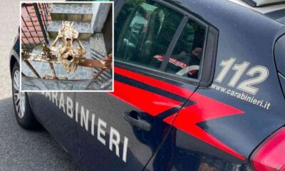 carabinieri-teschio-cane-orsomarso