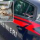 carabinieri-teschio-cane-orsomarso