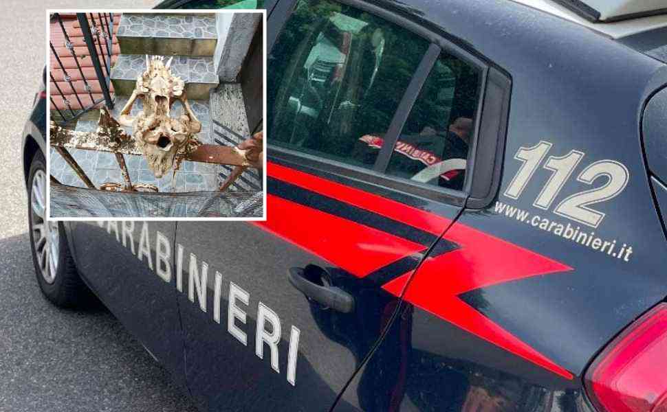 carabinieri-teschio-cane-orsomarso