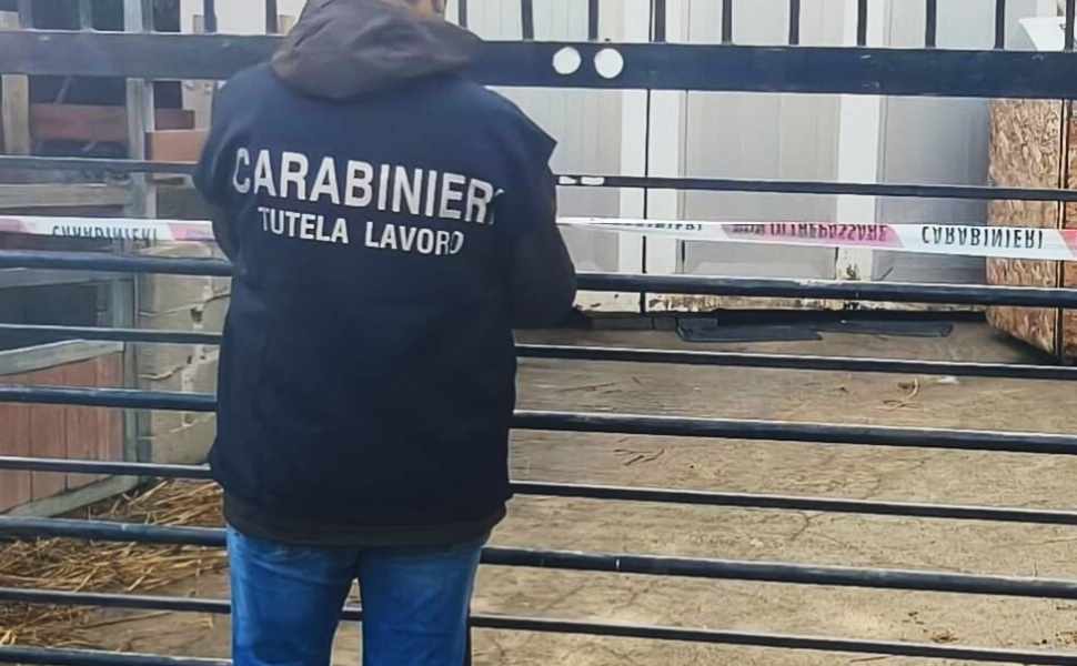 costretto a lavorare maneggio sequestro 01