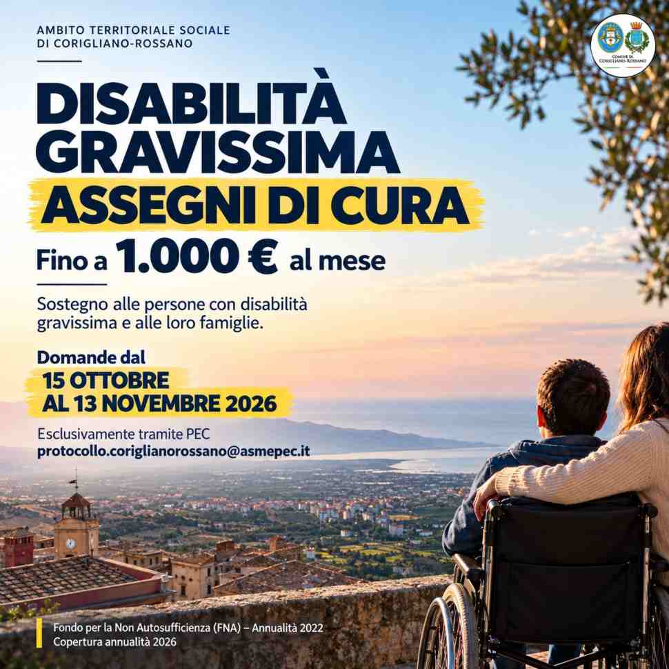 disabilita gravissima assegni locandina