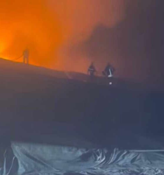 discarica pianopoli incendio arpacal 02