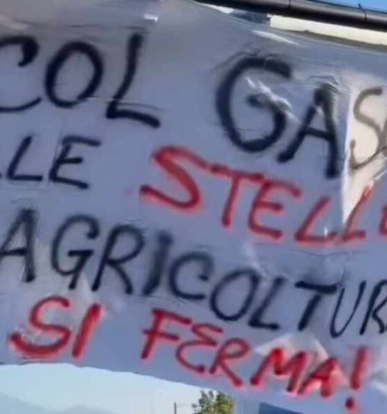 fondi agricoltura - protesta san marco argentano 01