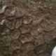 fossile longobucco ortiano 01