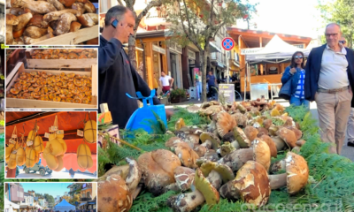 foto sagra del fungo