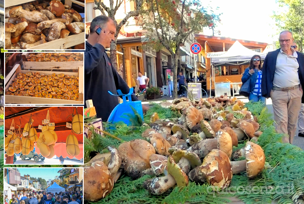 foto sagra del fungo