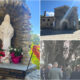 madonna sambucina Medjugorje Luzzi (1)