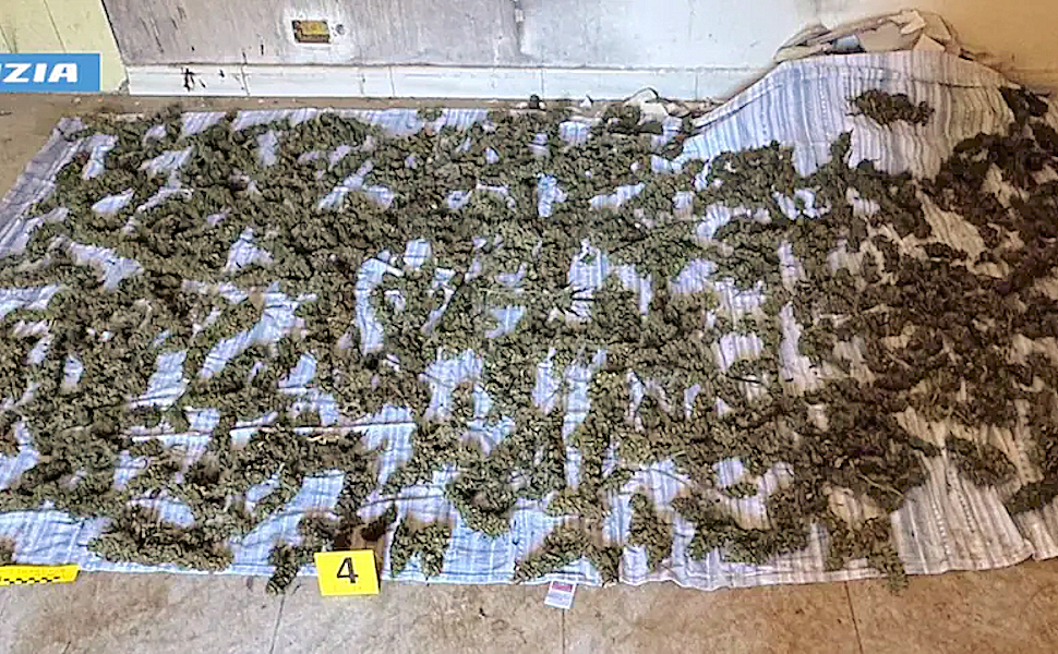 8 chili di marijuana