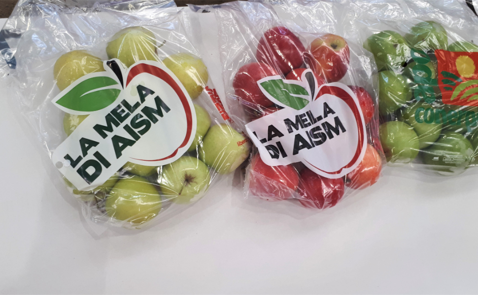 Frascineto sostiene la ricerca con "La Mela di AISM": domani in Municipio la raccolta fondi per la sclerosi multipla 53 mela aism