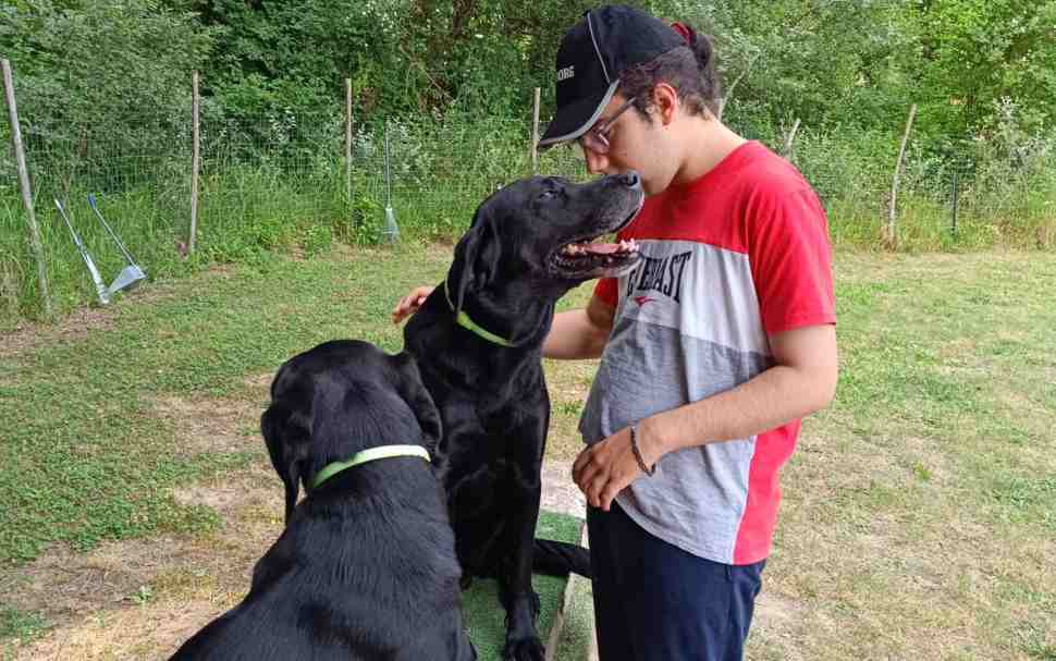 "SuperAbili a 6 Zampe", a Cosenza l'inclusione passa da sport, musica e pet therapy 53 pet therapy
