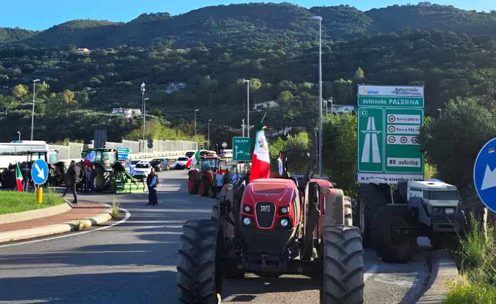 presidio agricoltori falerna 01