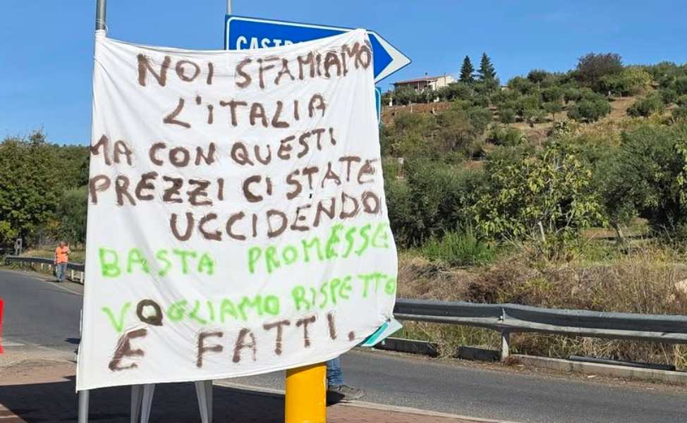 Salvini conferma l'incontro il 20, autotrasportatori «se non avremo risposte concrete andremo avanti» 53 protesta agricoltori salvini 20 incontro