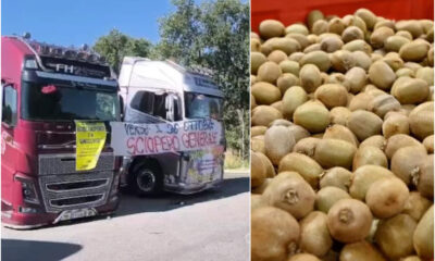 protesta-camion-kiwi-calabria