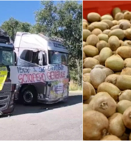 protesta-camion-kiwi-calabria