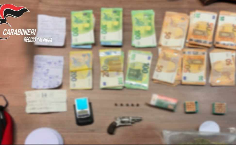 In casa un revolver clandestino, droga e animali protetti: arrestata una donna 52 revolver e 12 mila euro