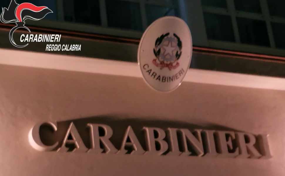 In casa un revolver clandestino, droga e animali protetti: arrestata una donna 51 revolver siderno carabinieri