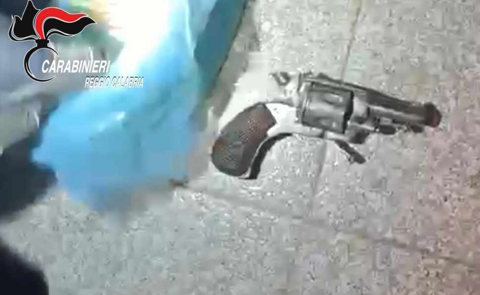 In casa un revolver clandestino, droga e animali protetti: arrestata una donna 213 revolver siderno