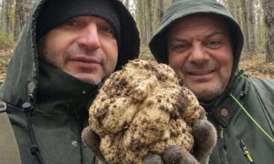 tartufo bianco Altomonte