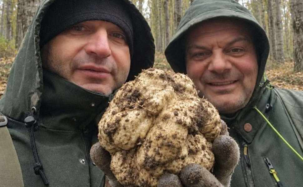 tartufo bianco Altomonte
