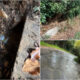 via vallone acqua strada rende 02